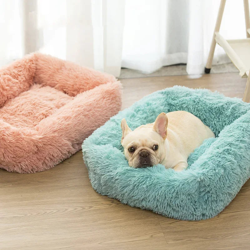 JOINT-FRIENDLY DOG AND CAT BED - HEALTHY FOR THE JOINTS