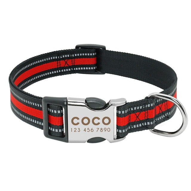 Customizable dog collar