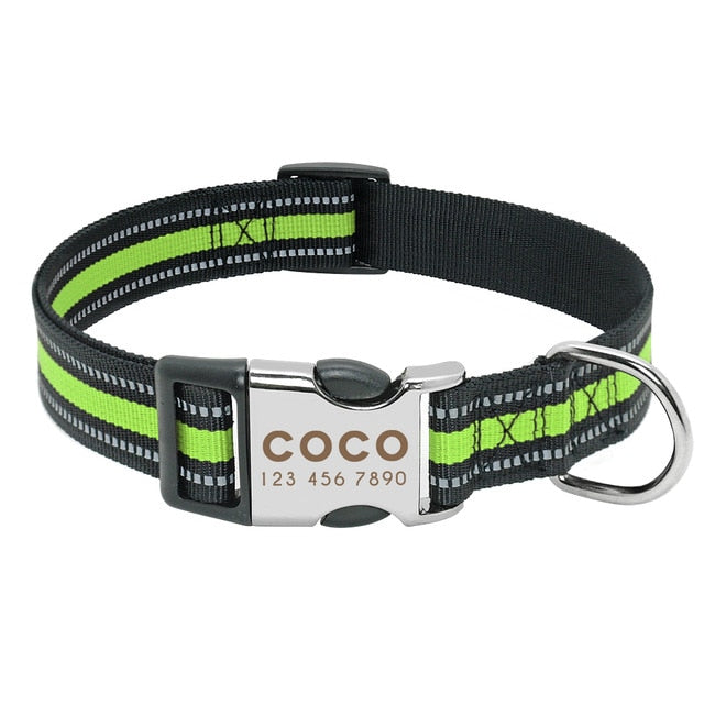 Customizable dog collar